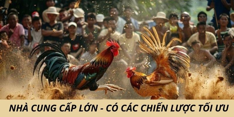 Nhà cung cấp lớn, có các chiến lược hữu dụng