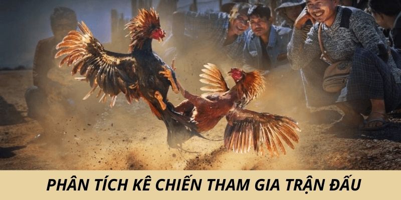 Phân tích phong độ kê chiến trong trận