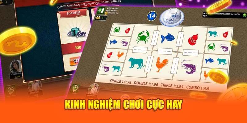 Kinh nghiệm chơi cực hay